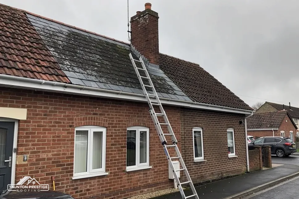 Ladder against the tiled roof of a brick bungalow