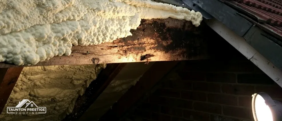 Spray foam coating the underside of a roof at the eaves in a loft