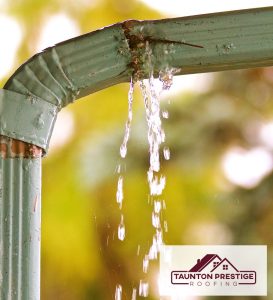 Leaking Gutter repair Taunton